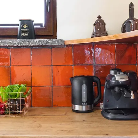 Cztery Tulipany 公寓 *